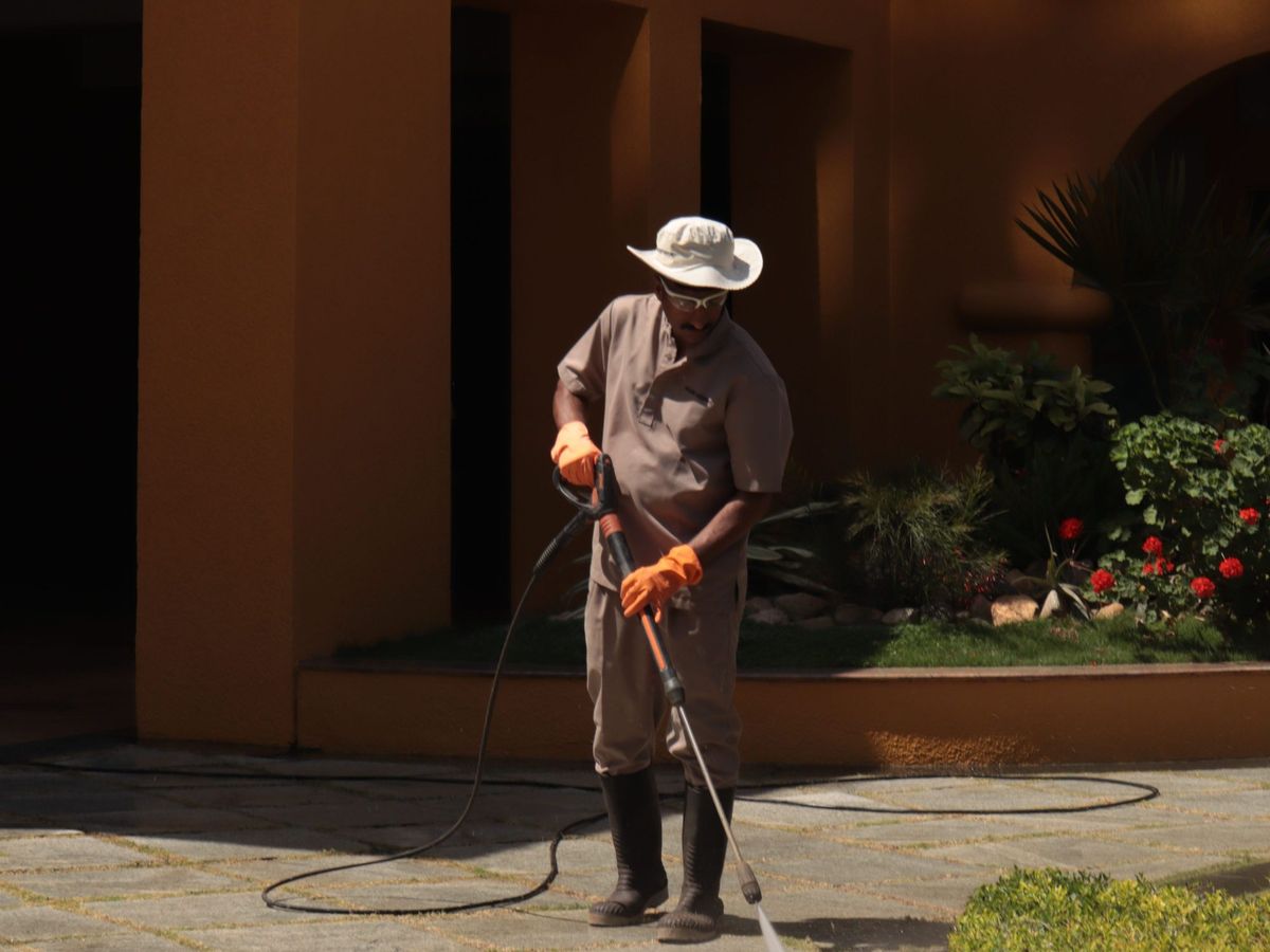 Walks and patios, pressure-washed