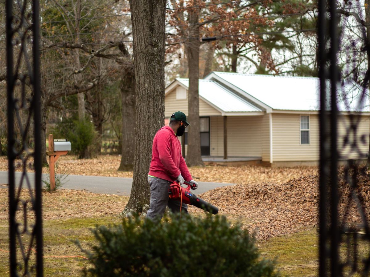 Fall leaf clean-up, hauled away